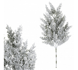 Tuja - műág, hossza 65 cm, havas