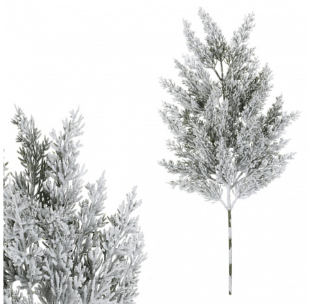 Tuja - műág, hossza 65 cm, havas