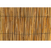 Nádkerítés nád 130x500 cm