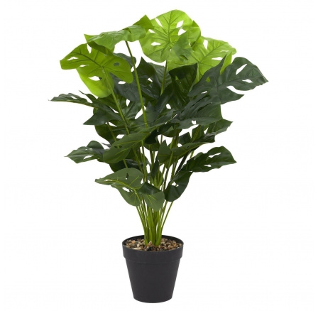 Mű Monstera virág 80 cm
