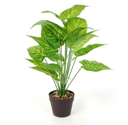 Műnövény Alocasia 55 cm