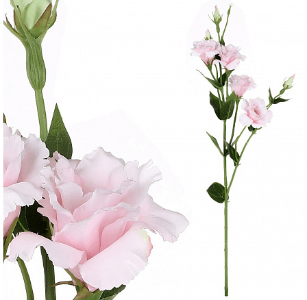 Eustoma - művirág, rózsaszín Eustoma - művirág, rózsaszín