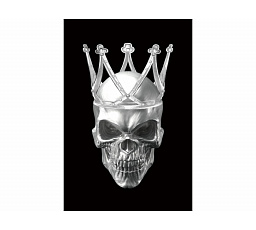 SKULL II kép 80X120