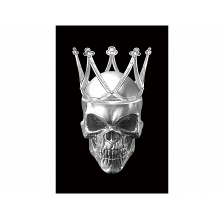 SKULL II kép 80X120