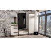 BLANCO 28 sosna śnieżna/MDF new grey - szafa