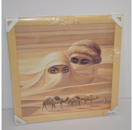Obraz Sahara 49x49 cm Obraz Sahara 49x49 cm