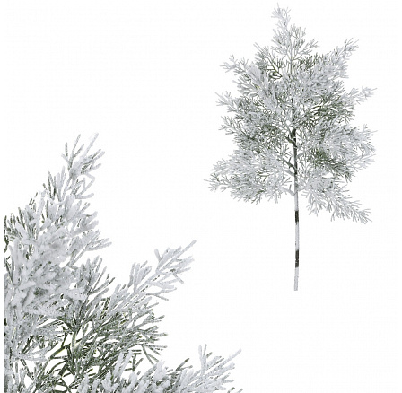 Tuja - műág, hossza 44 cm, havas