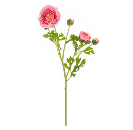 Ranunculus - umělý řezaný, květy s poupaty, tmavě růžový Ranunculus - umělý řezaný, květy s poupaty, tmavě růžový