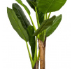 Műnövény Banánfa 160 cm