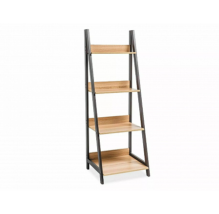 MATIS A könyvtár, tölgy