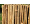 Bambusový plot 100x300 cm