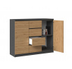 Komoda TOPA 2D4S 120, Antracit/Dub artisan