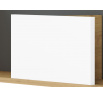 FINI 10 korpus dąb artisan/front biały - półka