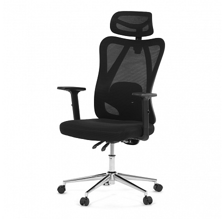Kancelářská židle, výškově nastavitelná, černá síťovina, KA-R216 BK