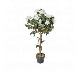 Mű rózsa 90 cm cserépben