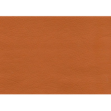 Cayenne 1120