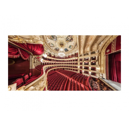 OBRAZ OPERA 140X70