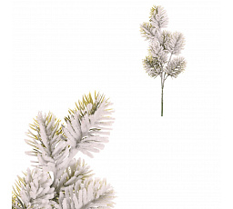 Lucfenyő - műág, havas tűlevelek