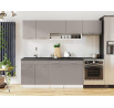 Kuchyňská horní skříňka Femme KL100 1W+P, šedý lesk