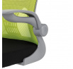 Dětská židle, výškově nastavitelná, zelená síťovina, KA-K2008 GRN